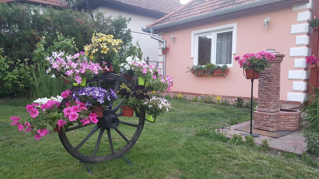 Villa Sunset Palić Esterno foto